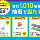 Panasonic ドルツ / えらべるPay 2,000円分 / リカルデント スティック