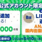 LINEポイント 100ポイント / ANA国内線往復航空券
