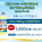えらべるPay 1,000円分