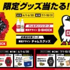 CHUMS限定グッズ / えらべるPay 100円分