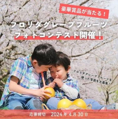 ヘルシオ ホットクック / VISAギフトカード 1万円分 / フロリダ産フローズンジュースセット など