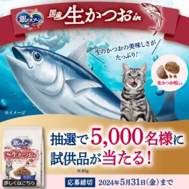 銀のスプーン国産生かつおinの試供品が当たるキャンペーン