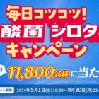 選べる体験ギフト / PayPayポイント 最大5,000円分 / コロコロヤクルト / もちもちクッション