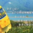 パインアップル缶詰を使った料理を投稿して沖縄旅行が当たるキャンペーン