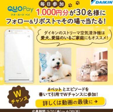 30名様にQUOカードPay1,000円分がその場で当たるX懸賞