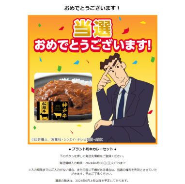 コカ・コーラのクローズド懸賞で「ブランド和牛カレーセット」が当選