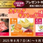 カタログギフト / COCORO POINT 1,000円分