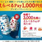 えらべるPay 1,000円分