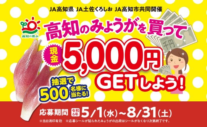 現金5,000円が500名様に当たる豪華クローズドキャンペーン｜懸賞主婦