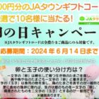 JAタウンギフトコード 3,000円