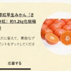毎月開催！JA香川県の農産物などが当たるクイズキャンペーン