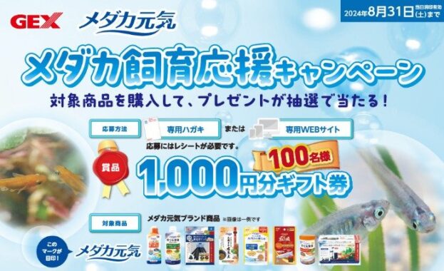 1,000円分のギフト券が100名様に当たる、メダカ飼育応援キャンペーン