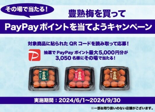 合計3,050名様にその場で最大5,000円分のPayPayポイントが当たるキャンペーン