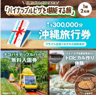 最大30万円相当の沖縄旅行券や特別体験が当たる豪華Xキャンペーン