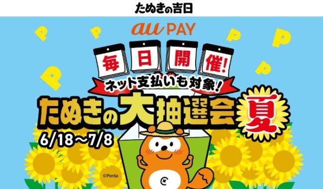 全プレ！Pontaポイントが必ず当たるau PAY利用キャンペーン