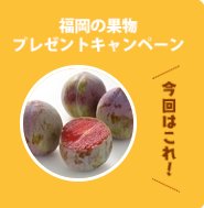 JA全農ふくれんの野菜や果物などが当たるアンケートキャンペーン