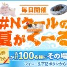 ニトリ商品券 3,000円分