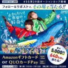 Amazonギフトカード 5,000円分 / QUOカードPay 500円分