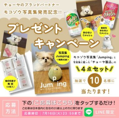 チョーヤのブランドパートナーのモコゾウ写真集が当たるLINEキャンペーン