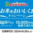 Wチャンスもアリ！1万円分のQUOカードPayが当たるクローズドキャンペーン