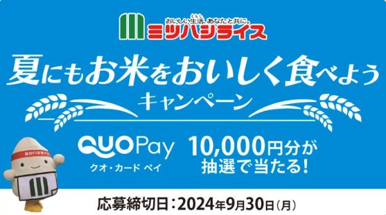 Wチャンスもアリ！1万円分のQUOカードPayが当たるクローズドキャンペーン