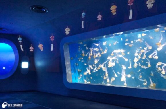 【神奈川】新江ノ島水族館の入場券が当たる、ママ向けモニターキャンペーン