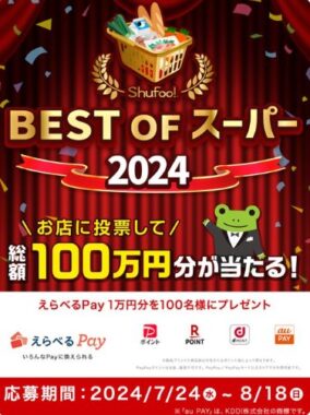 総額100万円分のえらべるPayが当たる、豪華投票キャンペーン