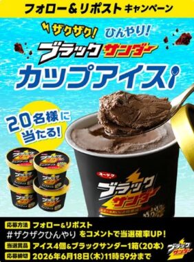ブラックサンダーカップアイス