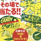 やわらかイカ天＆かりんとうセット
