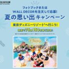 ファンタジースプリング招待券 / ディズニーリゾート招待券 / QUOカード 2,000円分