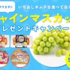 シャインマスカットや長野県産品が当たるクローズドキャンペーン