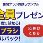 全プレ！L字歯間ブラシのお試しサンプルがもらえるお得なキャンペーン