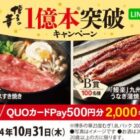 佐賀牛 肩ロースすき焼き / 九州産うなぎ蒲焼 / QUOカードPay500円分