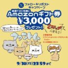 Amazonギフト券3,000円分が20名様に当たる、ファントムベイビーのX懸賞