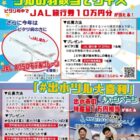 JAL旅行券10万円分 / JAL旅行券＋出水市の特産品詰め合わせ 他