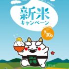 鹿児島県産品セットやカタログギフトなどが当たる、新米キャンペーン