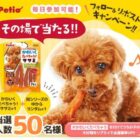 ペティオ商品セットが50名様にその場で当たるキャンペーン
