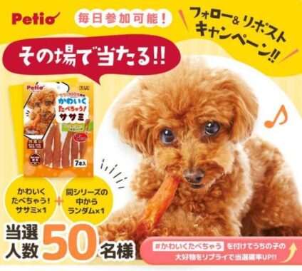 ペティオ商品セットが50名様にその場で当たるキャンペーン