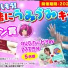 QUOカードPayやハーゲンダッツギフト券が当たるXキャンペーン