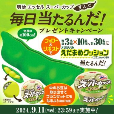 毎日3名様にブランケット入りえだまめクッションが当たるキャンペーン