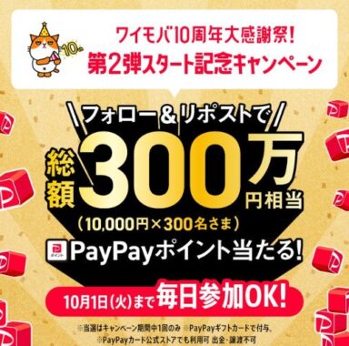 総額300万円分のPayPayポイントが当たる毎日応募Xキャンペーン