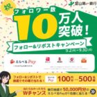 えらべるPay 100円分