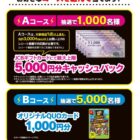 JCBギフトカード 最大5,000円分 / QUOカード 1,000円分