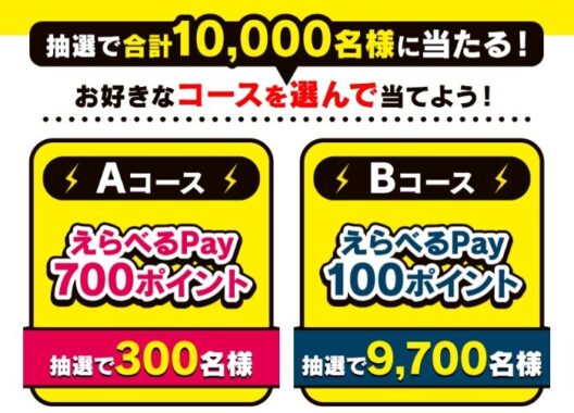 10,000名様にその場でえらべるPayが当たる大量当選レシート懸賞