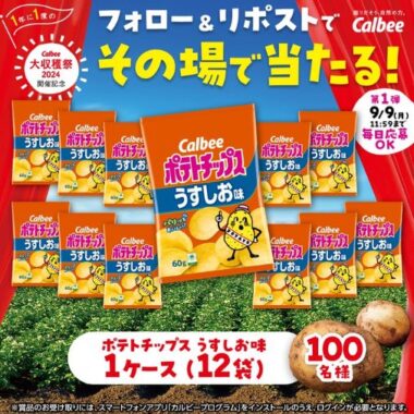 カルビーポテトチップスうすしお味1ケースがその場で当たるキャンペーン