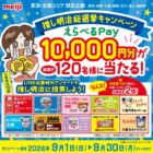 えらべるPay 10,000円分