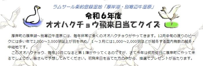 北海道厚岸町（あっけしちょう）のオオハクチョウ飛来日当てクイズ