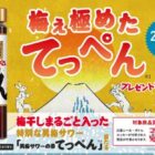 梅干しがまるごと入った「男梅サワーの素 てっぺん」が当たる大量当選懸賞