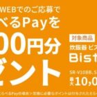 現金 or えらべるPay 最大10,000円分