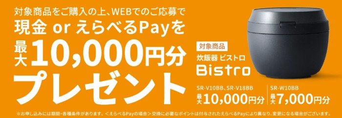 最大10,000円分の現金 or えらべるPayが必ずもらえるお得なキャンペーン